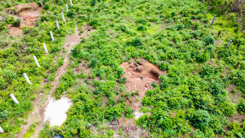 2-acres property  at McDonald, Off Peninsula Road.