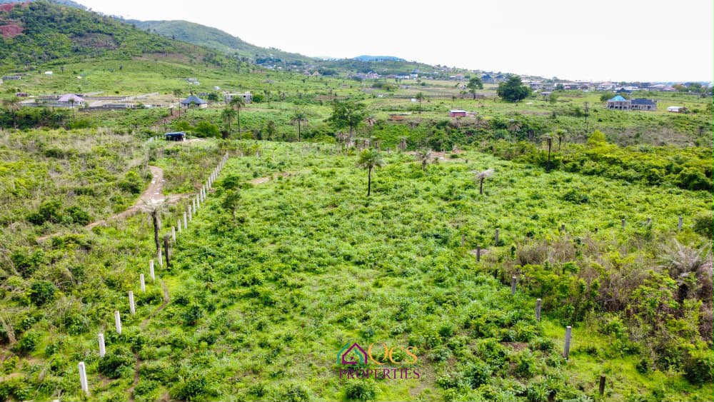 2-acres property  at McDonald, Off Peninsula Road. photo 4