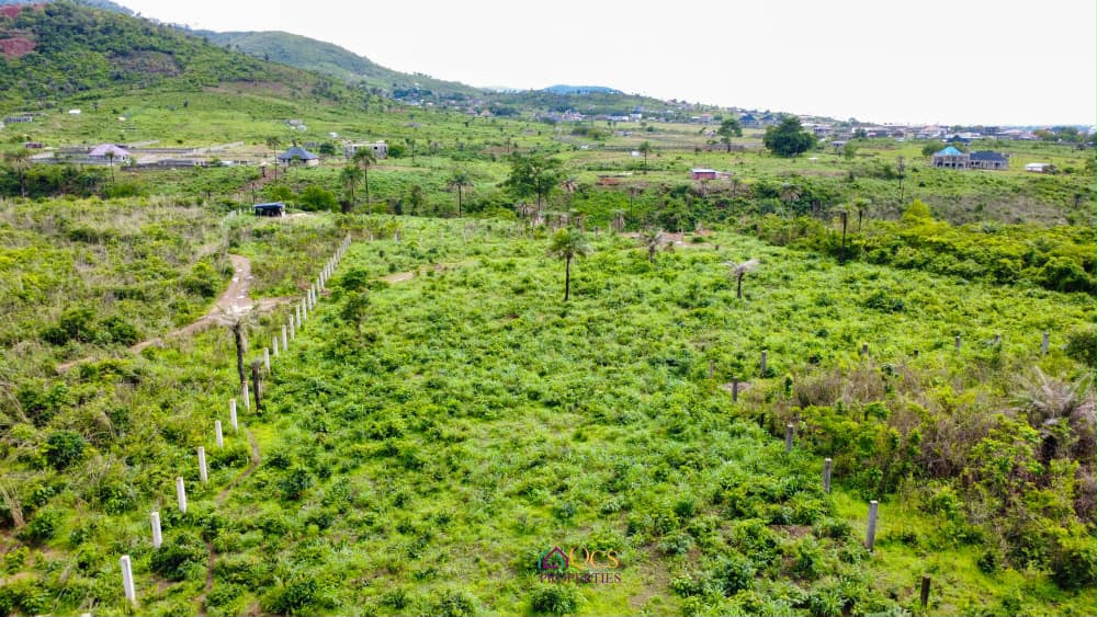 2-acres property  at McDonald, Off Peninsula Road. photo 2