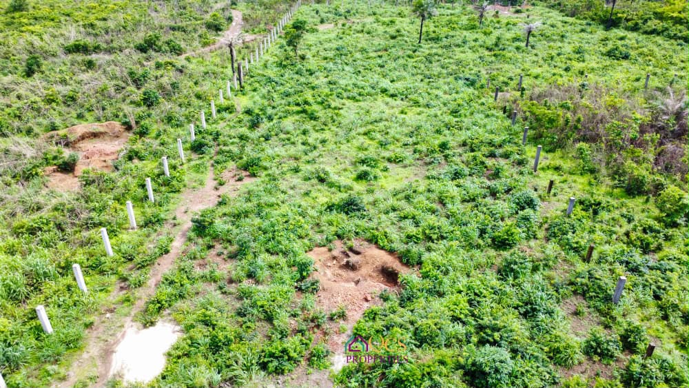 2-acres property  at McDonald, Off Peninsula Road.